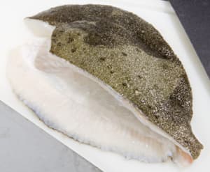 Fresh turbot fillets