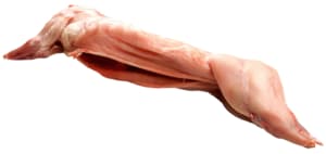 Fresh rabbit
