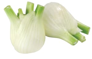 Frischer Fenchel