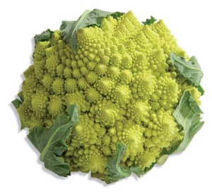 Romanesco broccoli