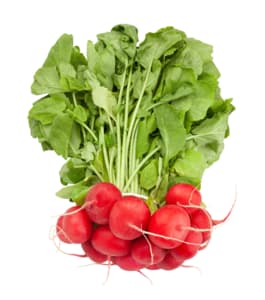 Bunched radishes
