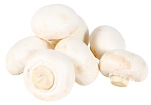 Champignons de Paris weiss