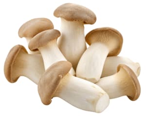 Kräuterseitlinge ganz · 1 kg