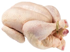 Poulet fermier blanc frais