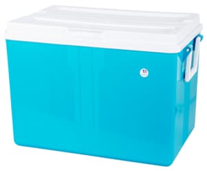 Ice Box cooler 52 l