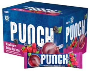 Wander Waldbeeren-Punch · 50 x 22 g
