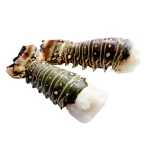 Le Dragon Spiny lobster tails 450g