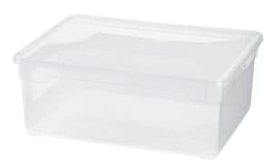 Rotho Clear Box Gross 10l