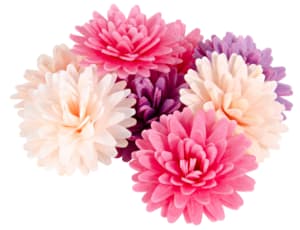 Assorted decorative pompons