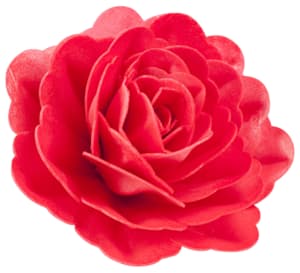 Red wafer paper rose 12.5 cm Dekora