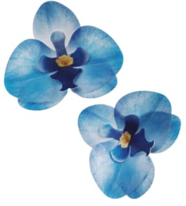 Blue Orchid Wafer Dekora 10x