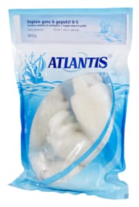Whole cleaned cuttlefish U5