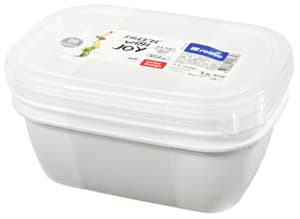 Rotho Sunshine freezer containers 3x1l