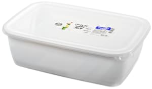 Rotho Sunshine freezer container 3.7l