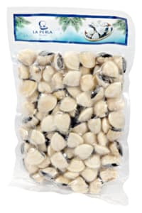 Carpet shell clams