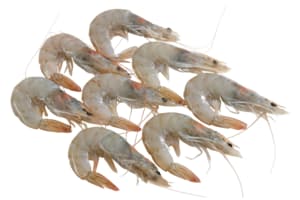 Raw shrimp, 40-60