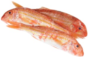 Rotbarbe frisch, 100-200 g