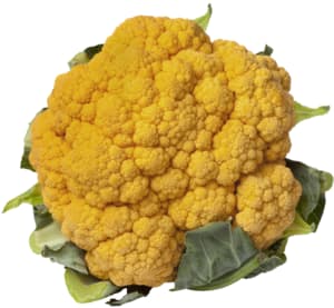 Blumenkohl orange · 800 g