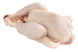 Poule fraîche