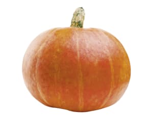 Hokkaido pumpkin