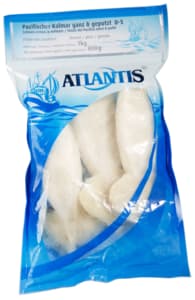 Squid
