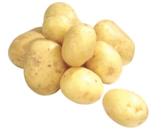 Potatoes for french fries