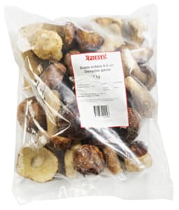 Porcini mushrooms