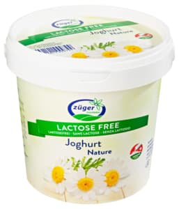 Züger Yogourt nature 1kg