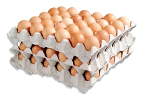 Barn eggs