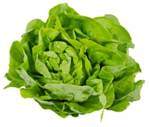 Lettuce GRTA