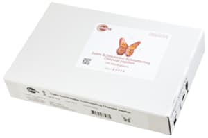 Chocolate butterflies