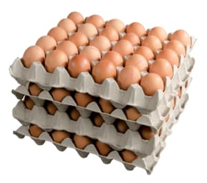 Brown eggs barn-raised