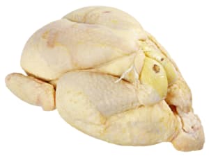 Poulet gelb frisch
