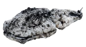 Schwarze Sepia frisch · 400 g