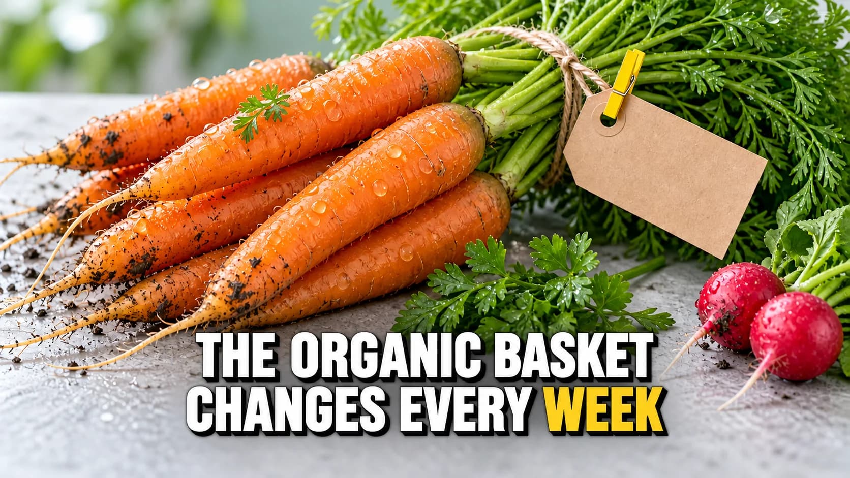 Close-up of wet carrots with a blank paper tag tied on with string.