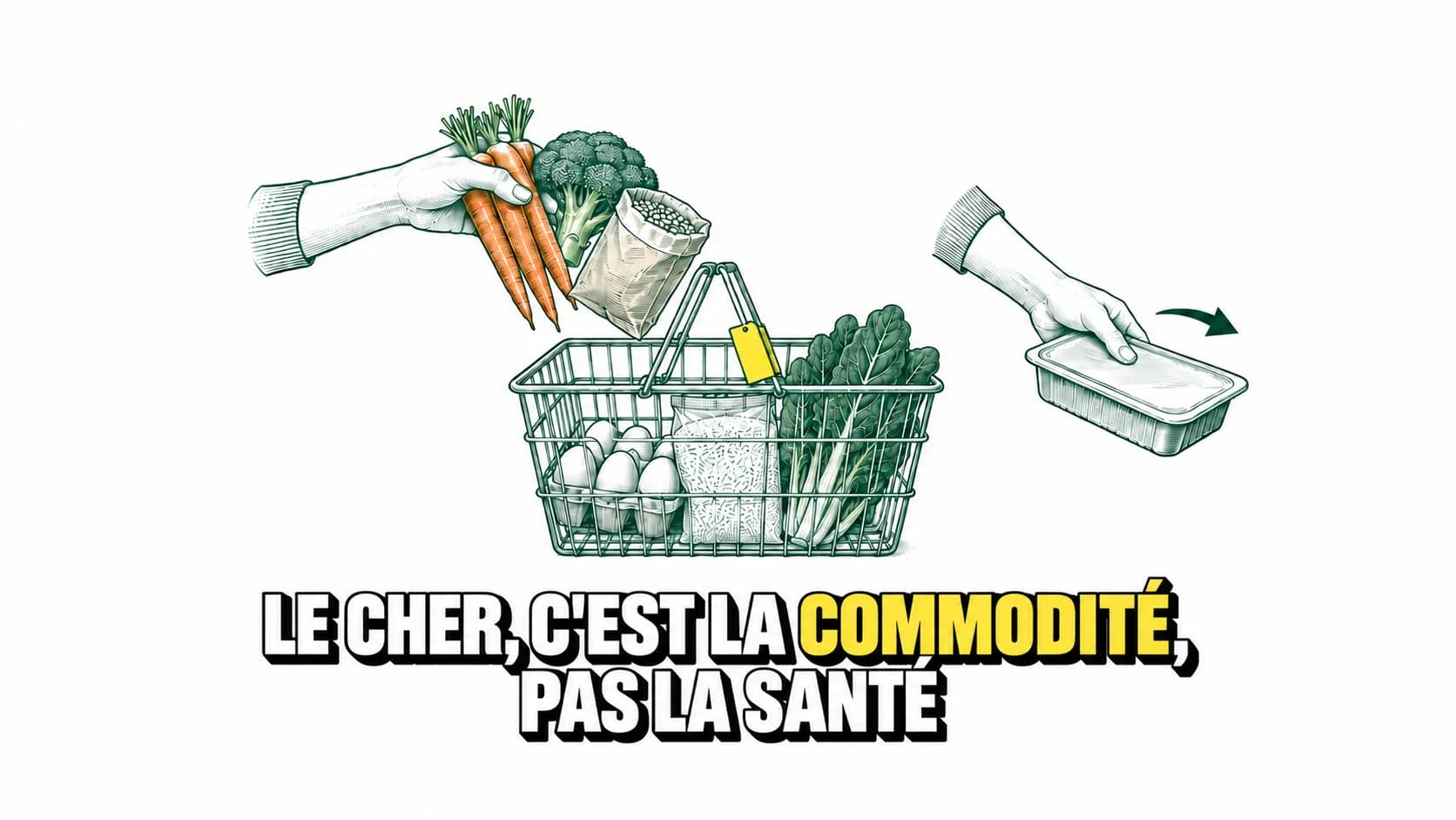 Dessin technique d’aliments et de préparations sur fond blanc.