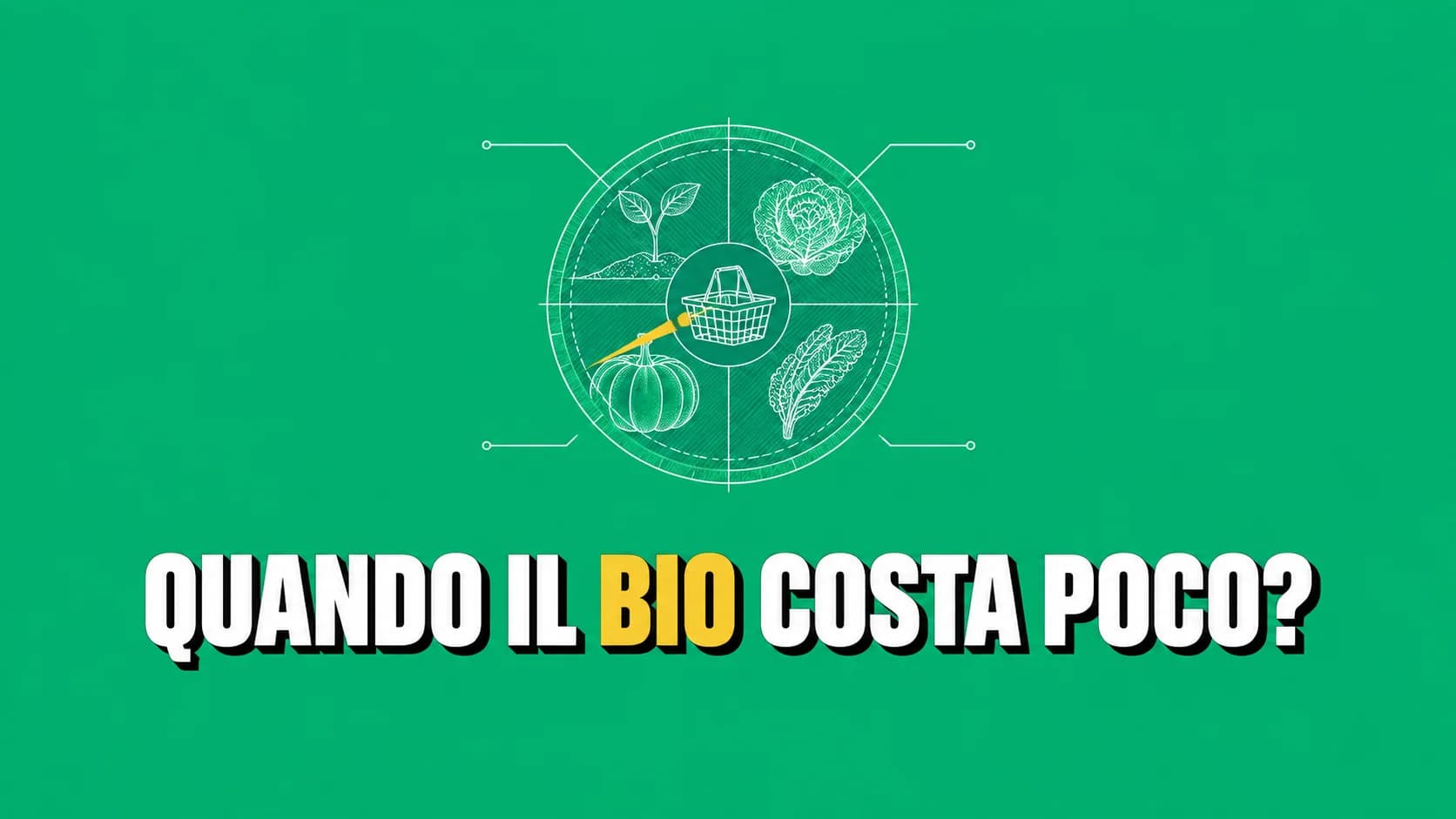 Ruota stagionale con germoglio, lattuga, zucca, cavolo e cestino centrale.