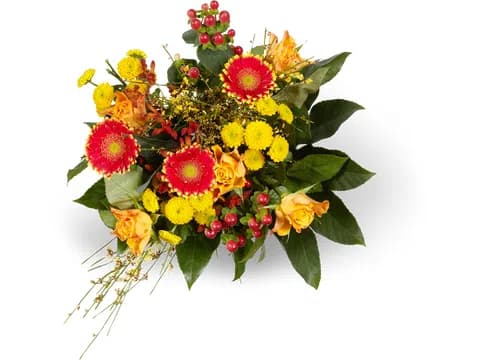 Migros Mazzo Surprise maxi