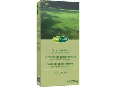 Shaded-lawn seed