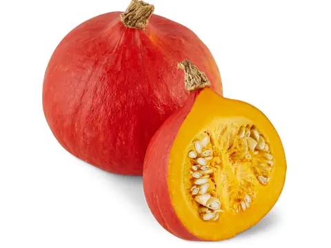 Zucca