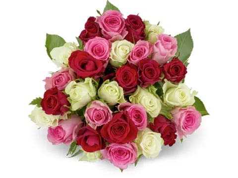 Migros Minirose 30 pezzi
