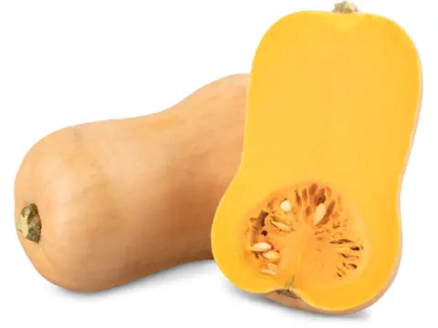 Kürbis