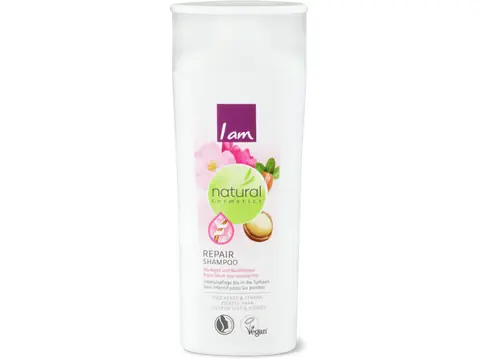Repair Shampoo für trockenes, brüchiges Haar