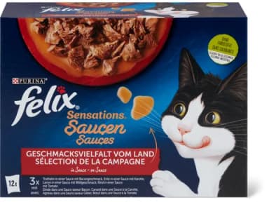 Felix Sauces Sensations 12x85g