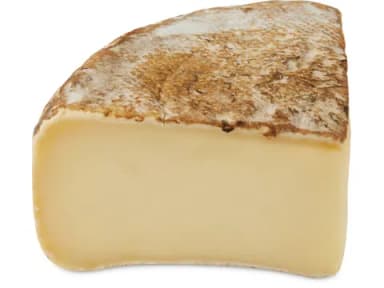 Gotthardkäse