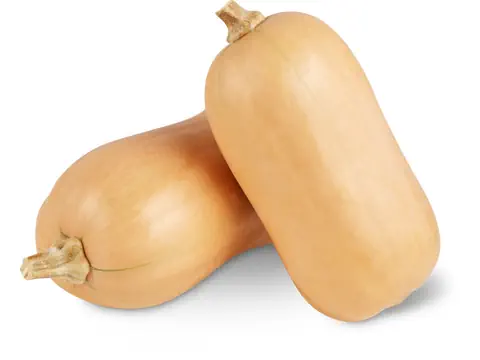 Kürbis