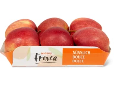 Migros Gala Äpfel 1kg