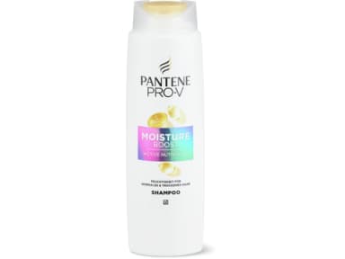 Pantene Moisture Boost Shampoo trockenes Haar 300ml
