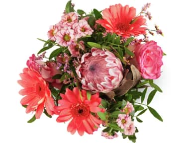 Migros Proteastrauss · 1 pcs