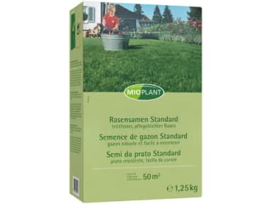 Standard Lawn Seed
